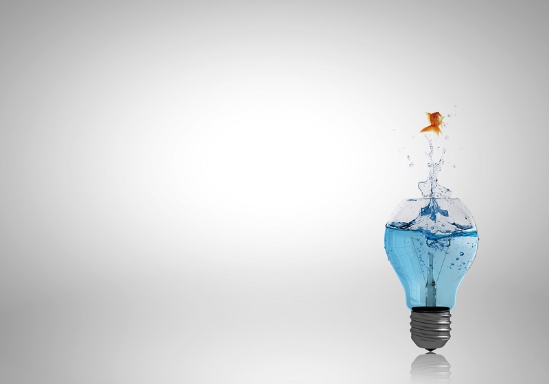 כתיבת מאמרים בעשרה צעדים פשוטים